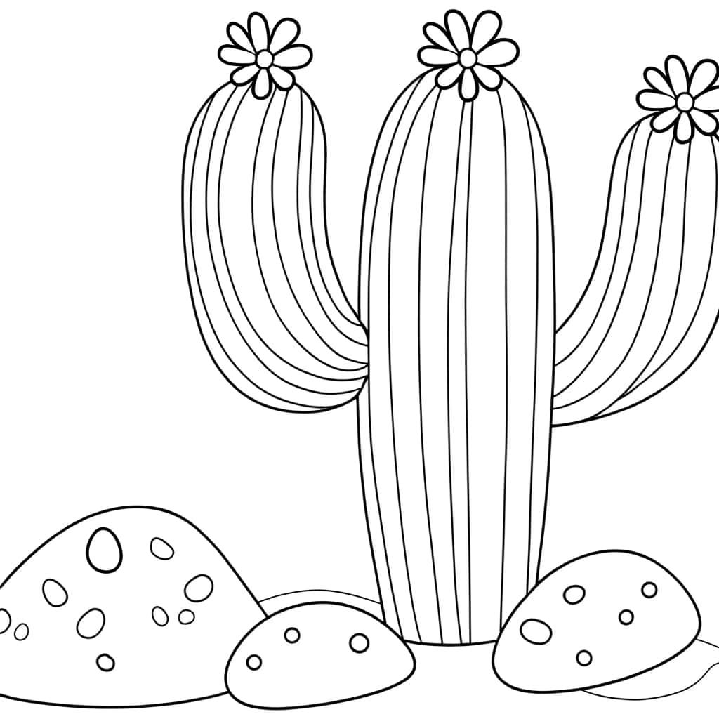 Cactus avec fleurs